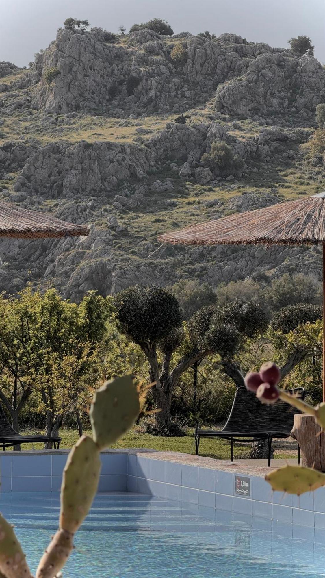 La Casa Di Lusso N7 -Adults Only Villa Kolymbia Eksteriør billede